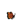 Animated butterfly