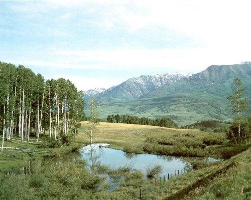 Mountain Pond