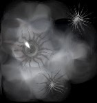 Eye in the Dark